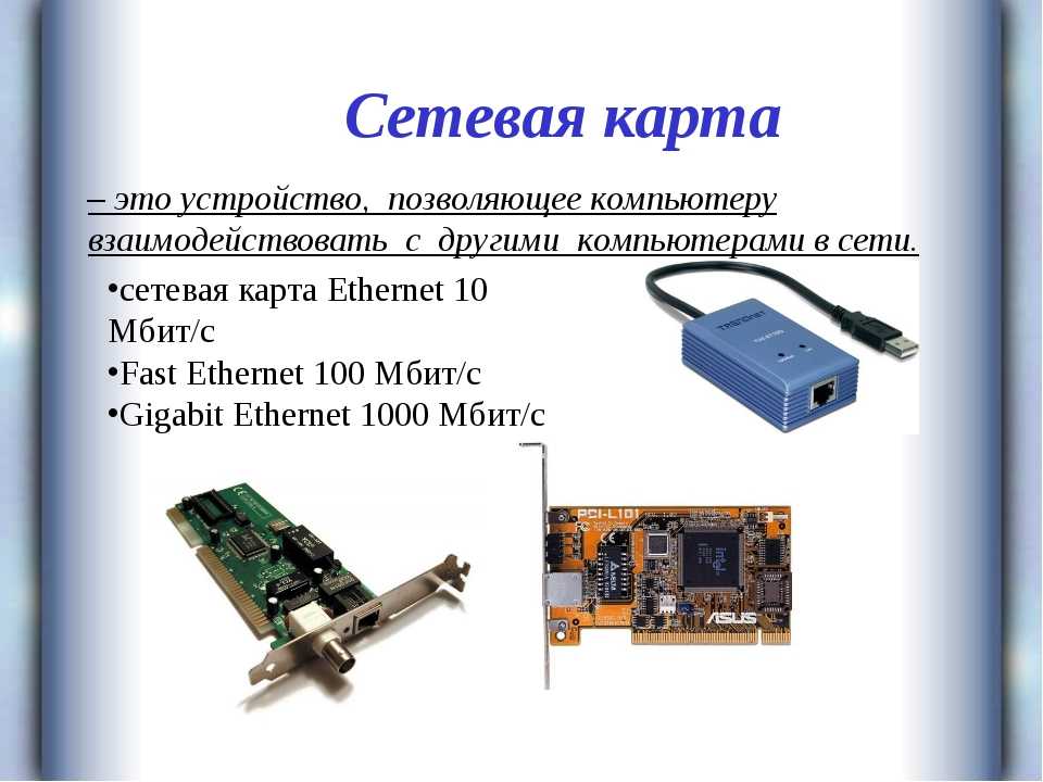 Сетевая карта и сетевой адаптер одно и тоже