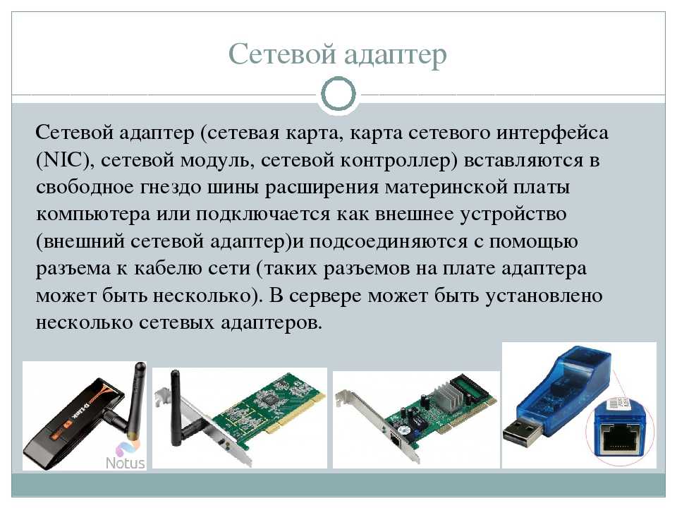 Сетевая карта и сетевой адаптер