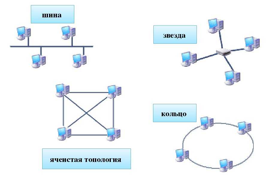 Схема локальной сети шина