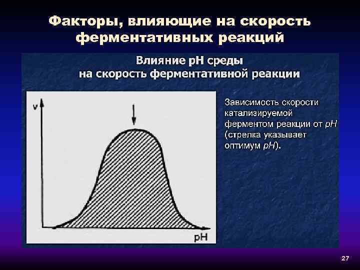 Влияние скорости загрузки сайтов на конверсию трафика - ppc.world