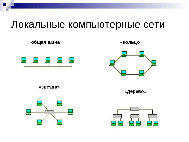 Виды сетей картинки