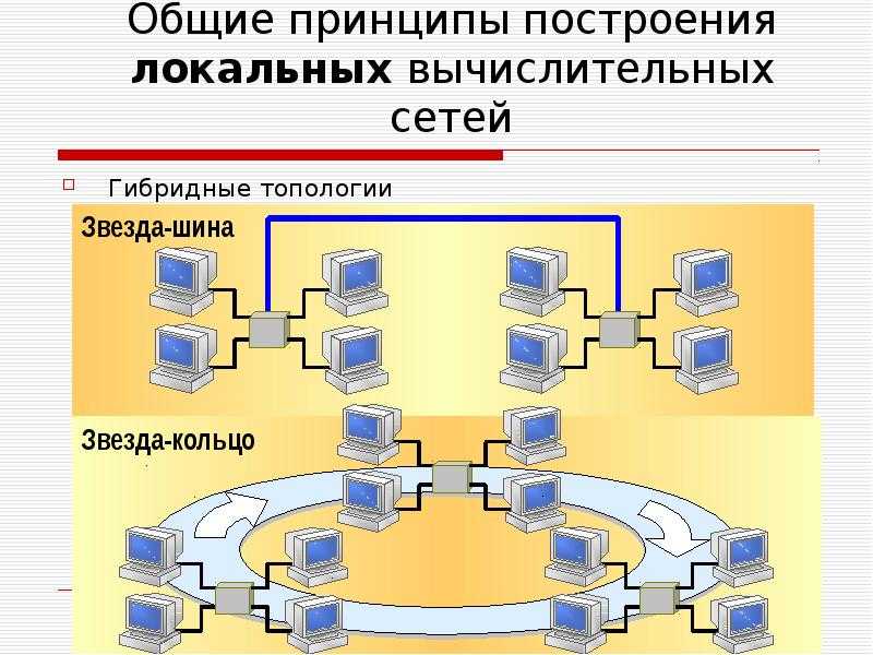 Что такое сегмент компьютерной сети