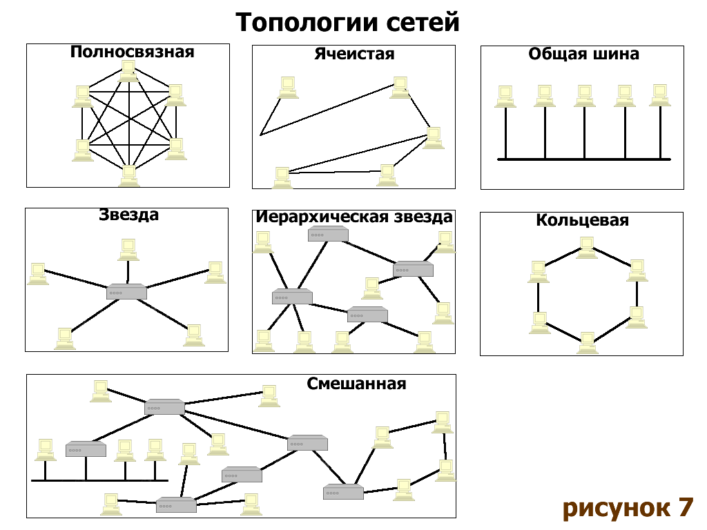 Понятие сетевой архитектуры топологии физическая и логическая топология сетей