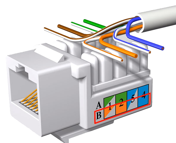 Как подключить интернет розетку, схема подключения кабеля по цветам