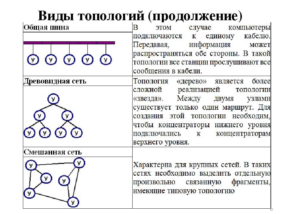 Топология и архитектура вычислительных сетей